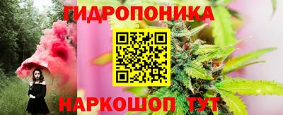 соль ск Партизанск