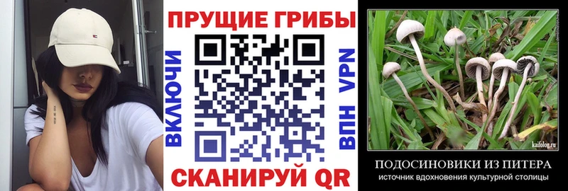 Псилоцибиновые грибы мухоморы Южно-Сахалинск
