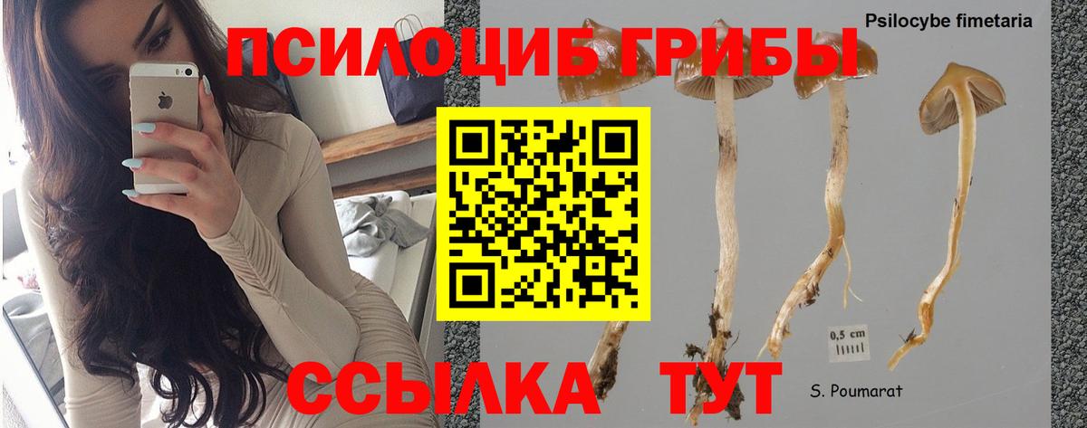 Галлюциногенные грибы MAGIC MUSHROOMS  Вход с VPN  Псилоцибиновые грибы ЛСД  Южно-Сахалинск 